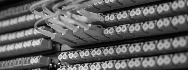 Rows of duplex LC adapters on a fibre-optic patch panel, seen in extreme close-up, black and white photograph