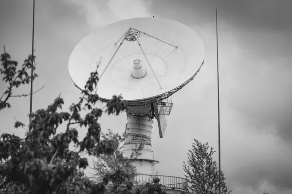 A large satellite dish for telecommunications seen from below, among tree branches, in black and white