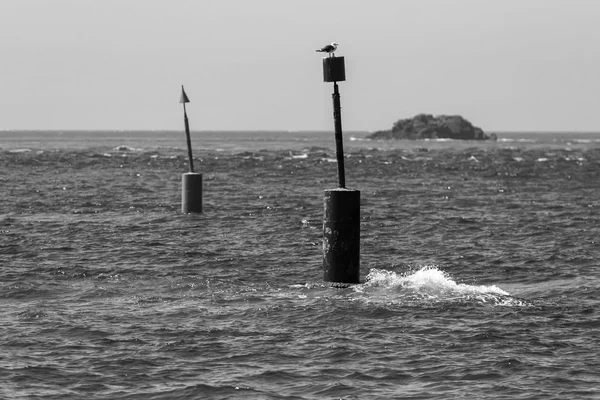 Due mede di segnalamento emergono dal mare aperto, una cilindrica in primo piano con un gabbiano posato sul miraglio, l’altra più lontana con miraglio conico, uno scoglio all’orizzonte, fotografia in bianco e nero