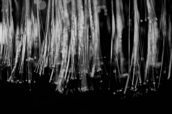 Decine di fili di fibra ottica sospesi nel buio, ciascuno con la propria punta illuminata, fotografia in bianco e nero