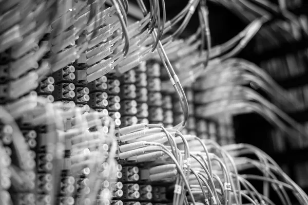 Bretelle in fibra ottica con etichette su un pannello di permutazione