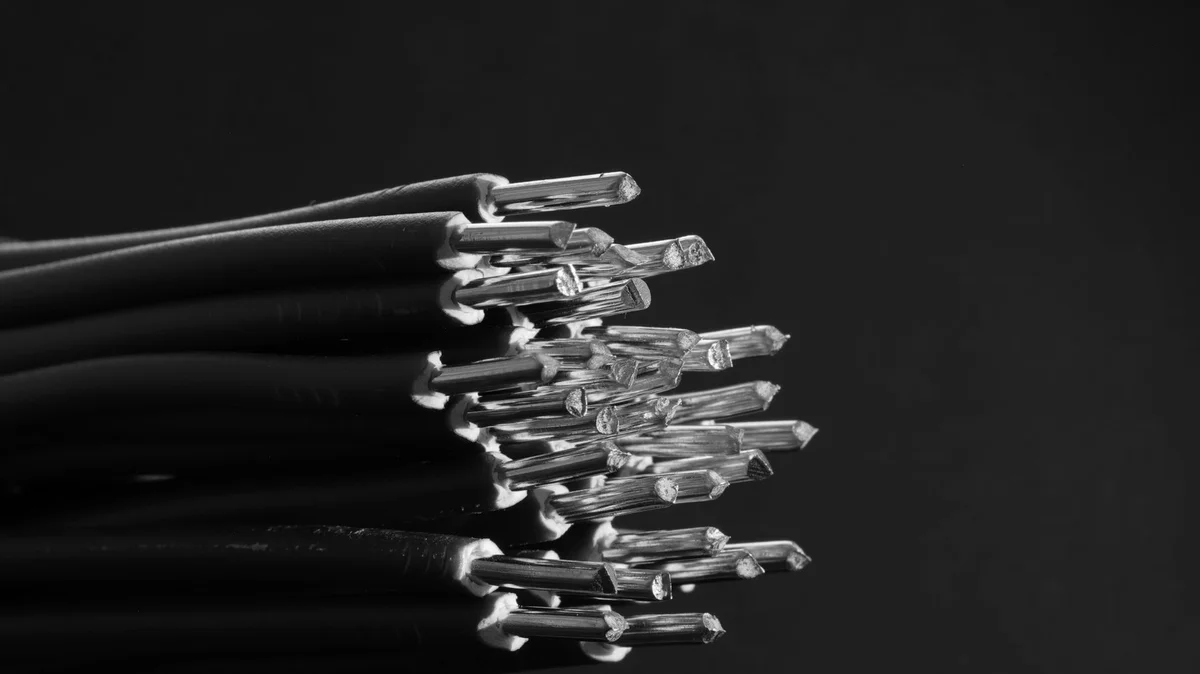 Bundles of cables with exposed metal conductors at the ends, black-and-white photograph