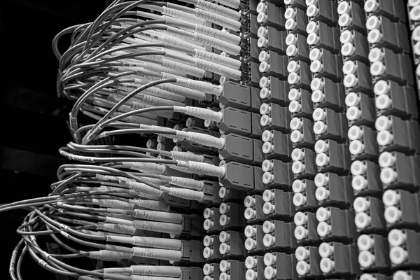 Optical patching frame with hundreds of LC adapters side by side and patch cords plugged in, in black and white