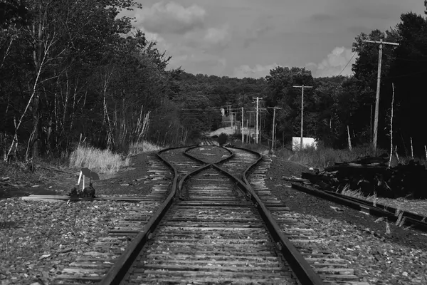 A single railway track opening into several routes through a set of points, with the point indicator beside the line, black and white photograph