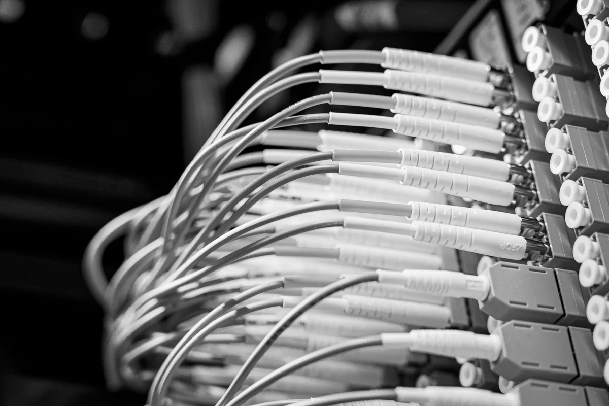Bundle of optical patch cords plugged into a distribution frame, in black and white