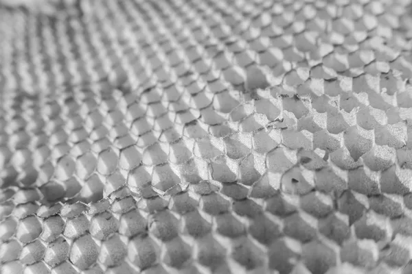 An empty beeswax honeycomb photographed close up, hexagonal cells all alike and none of them filled, black and white photograph