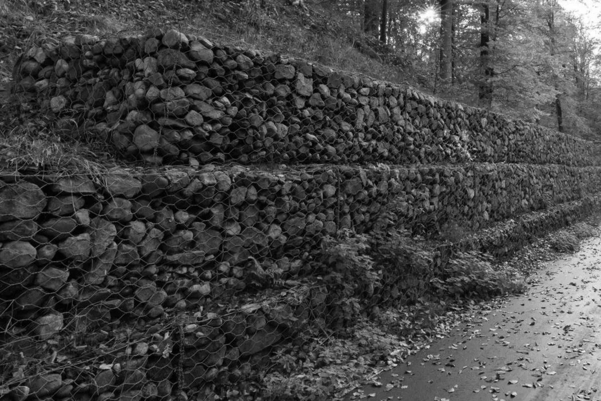 Retaining wall of stone-filled gabion baskets along a wooded embankment, black-and-white photograph