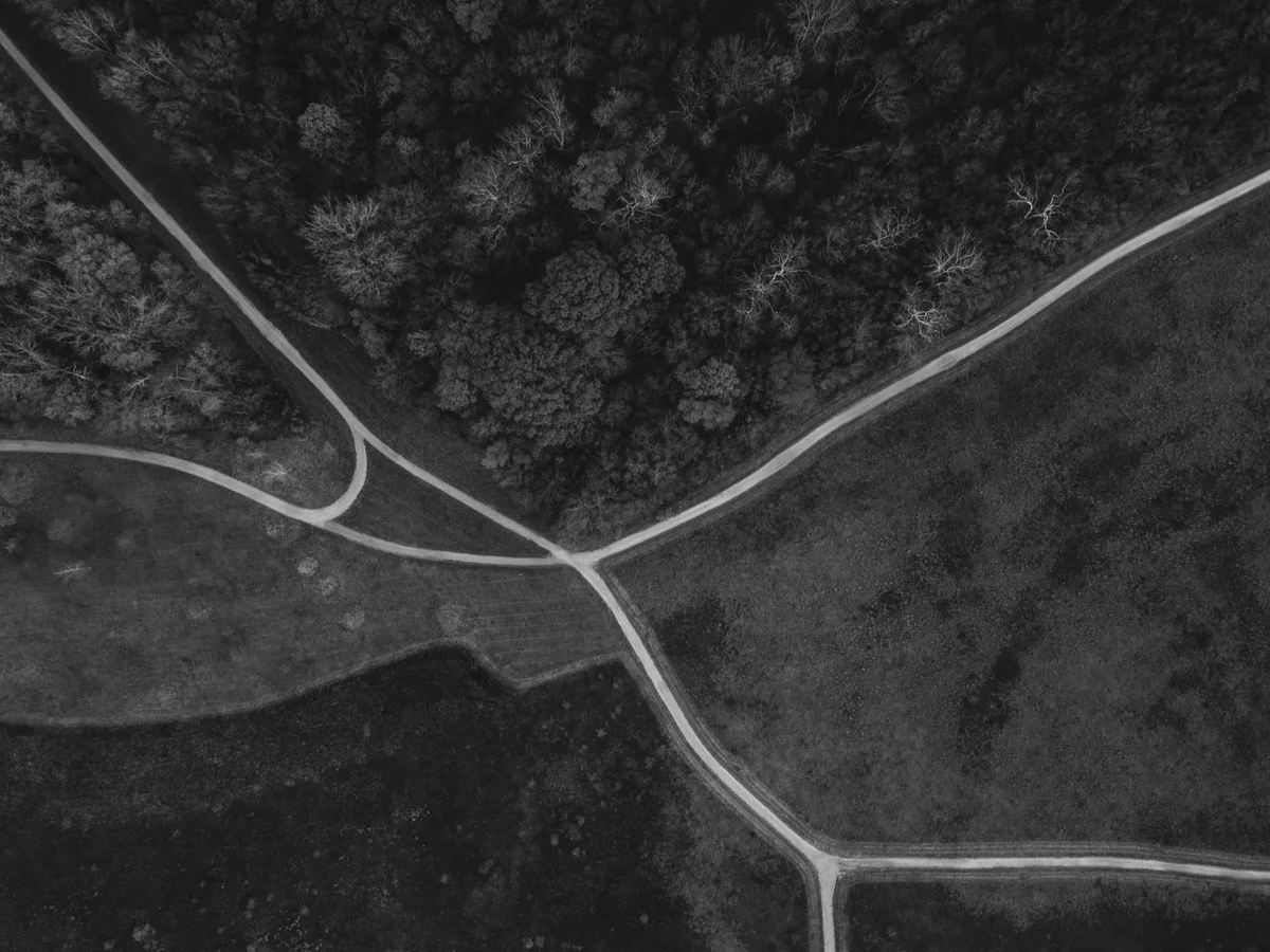 Black-and-white aerial view of dirt paths converging at a single point between a wood and two fields