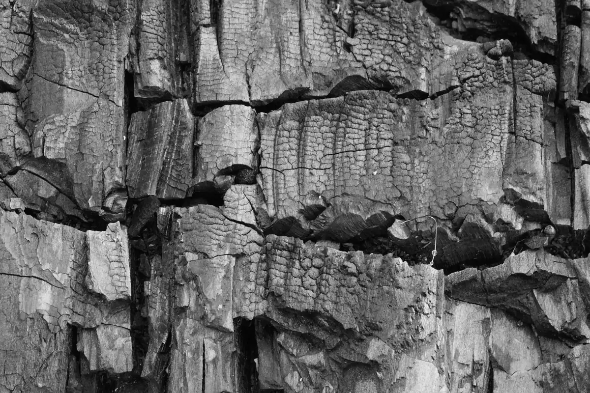 Superficie di legno carbonizzato e screpolato dal calore, dettaglio ravvicinato, fotografia in bianco e nero
