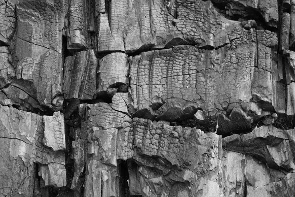 Close-up of a charred, heat-cracked wood surface, black and white photograph