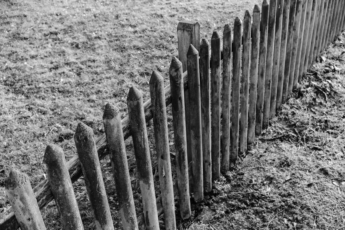 A line of wooden fence posts, several of them leaning and sinking into grassy ground, black-and-white photograph