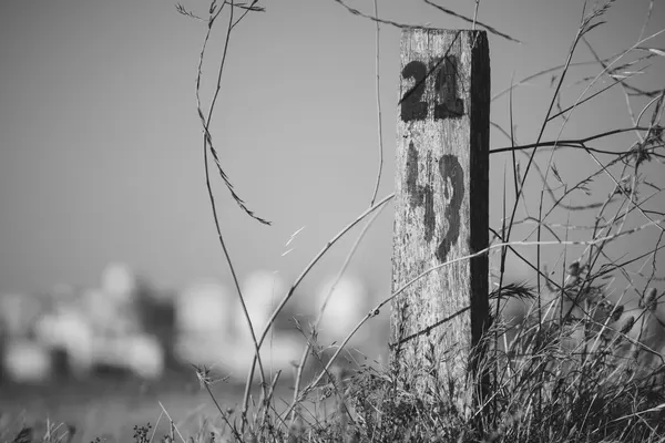 A weathered wooden marker post carrying two hand-painted numbers, half buried in dry grass, in black and white