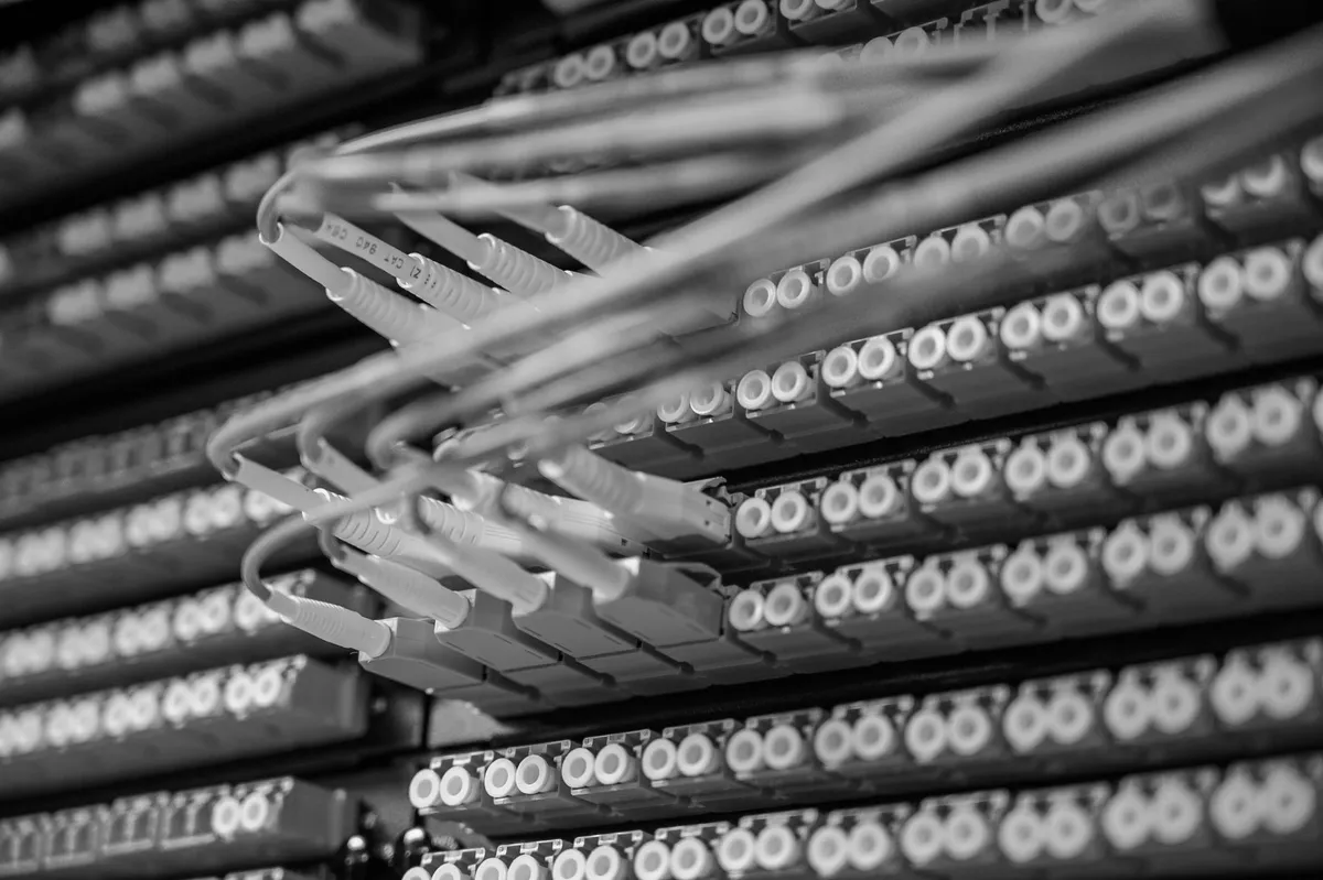 Fibre-optic patch cords tangled across an optical distribution frame, in front of dozens of aligned ports, in black and white