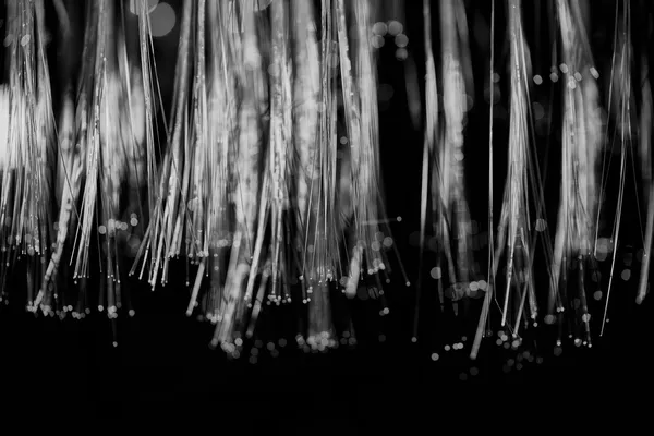 A bundle of optical fibre strands hanging in the dark, their tips lit at different intensities, in black and white