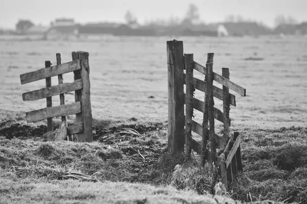 A broken gap in a wooden fence in open countryside, blurred farm buildings in the background, black-and-white photograph