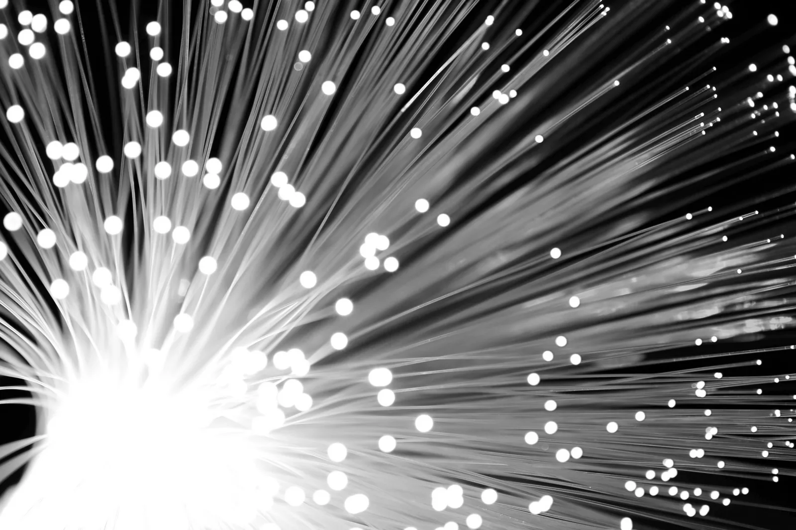 Fasci di fibre ottiche illuminate